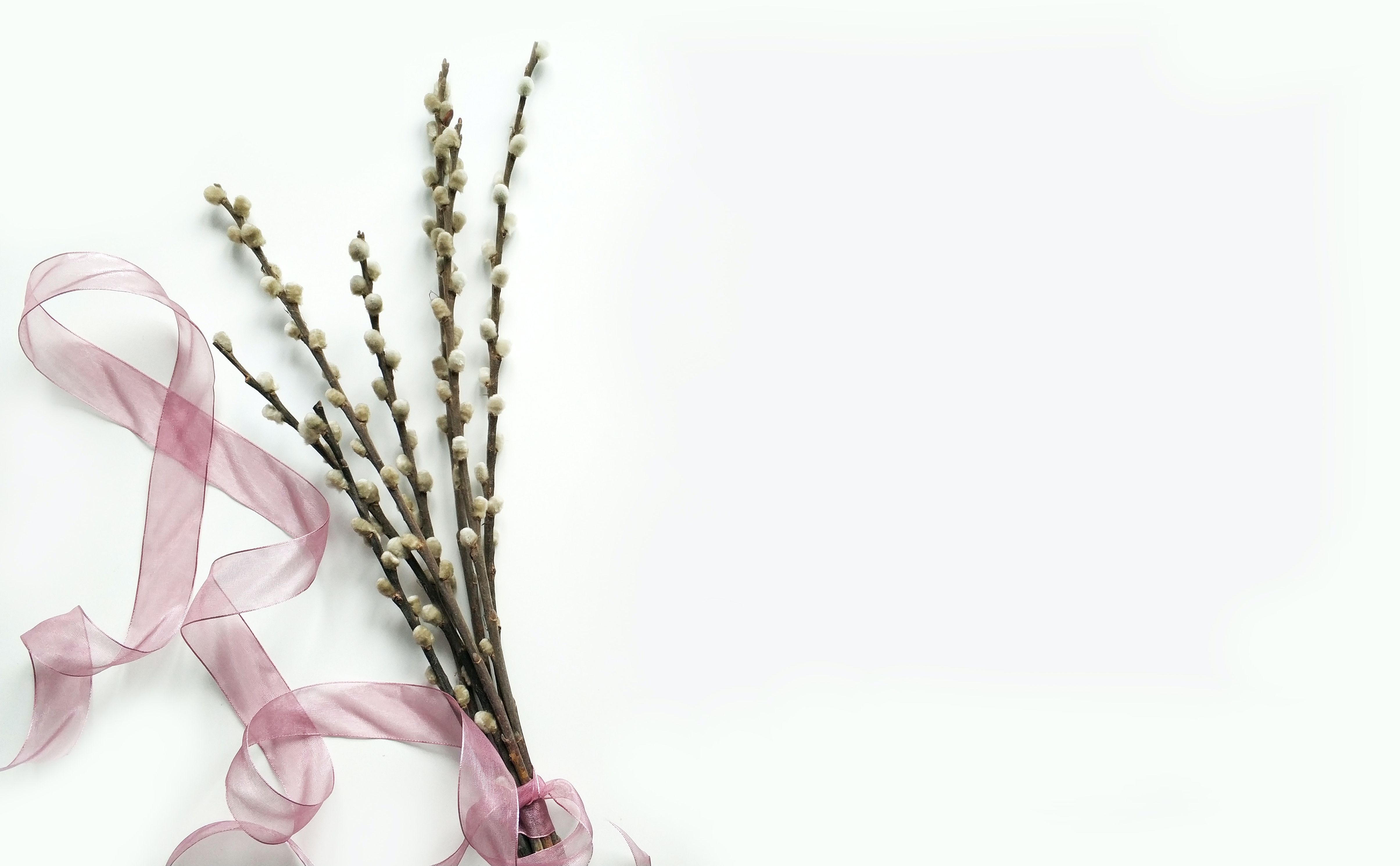 pdf在線轉(zhuǎn)換免費(fèi)軟件哪里找