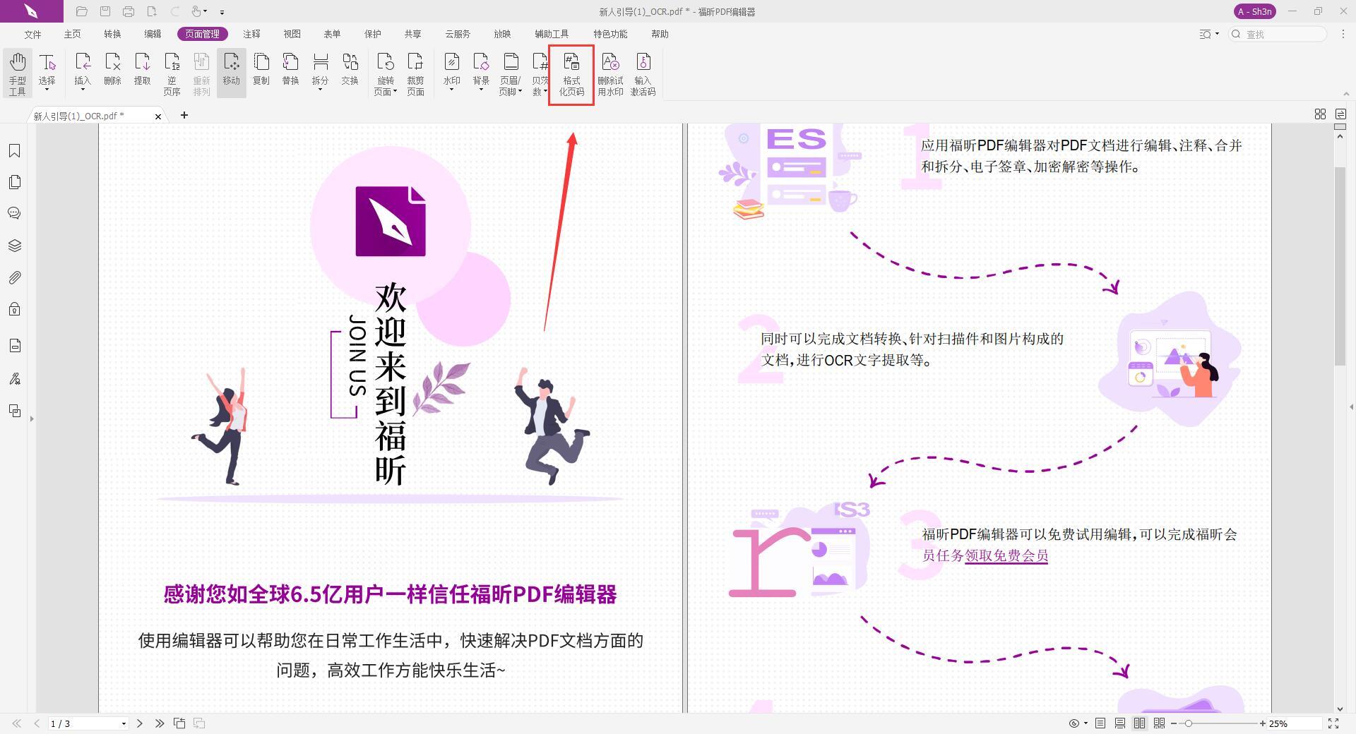 PDF頁(yè)碼格式化