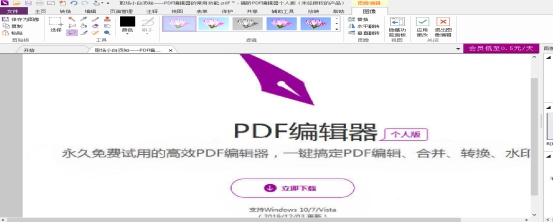 ڸPDF݋˰ЌDM̎