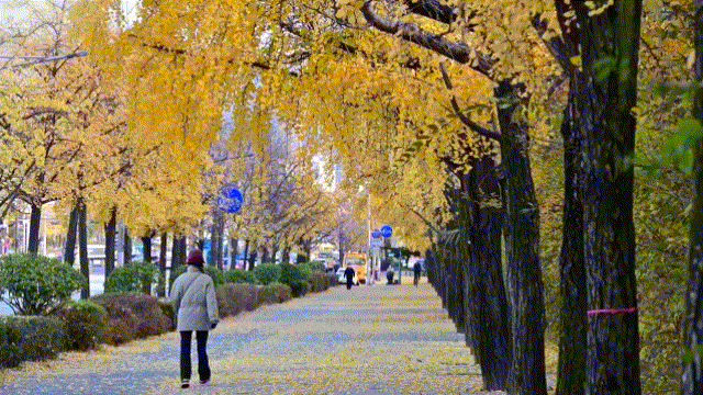 11.gif 蒙版高級玩法詳細(xì)教程--漸變轉(zhuǎn)場